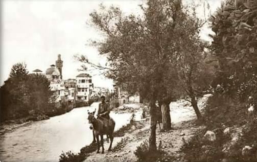 نهرأبو علي طرابلس مطلع القرن الماضي 